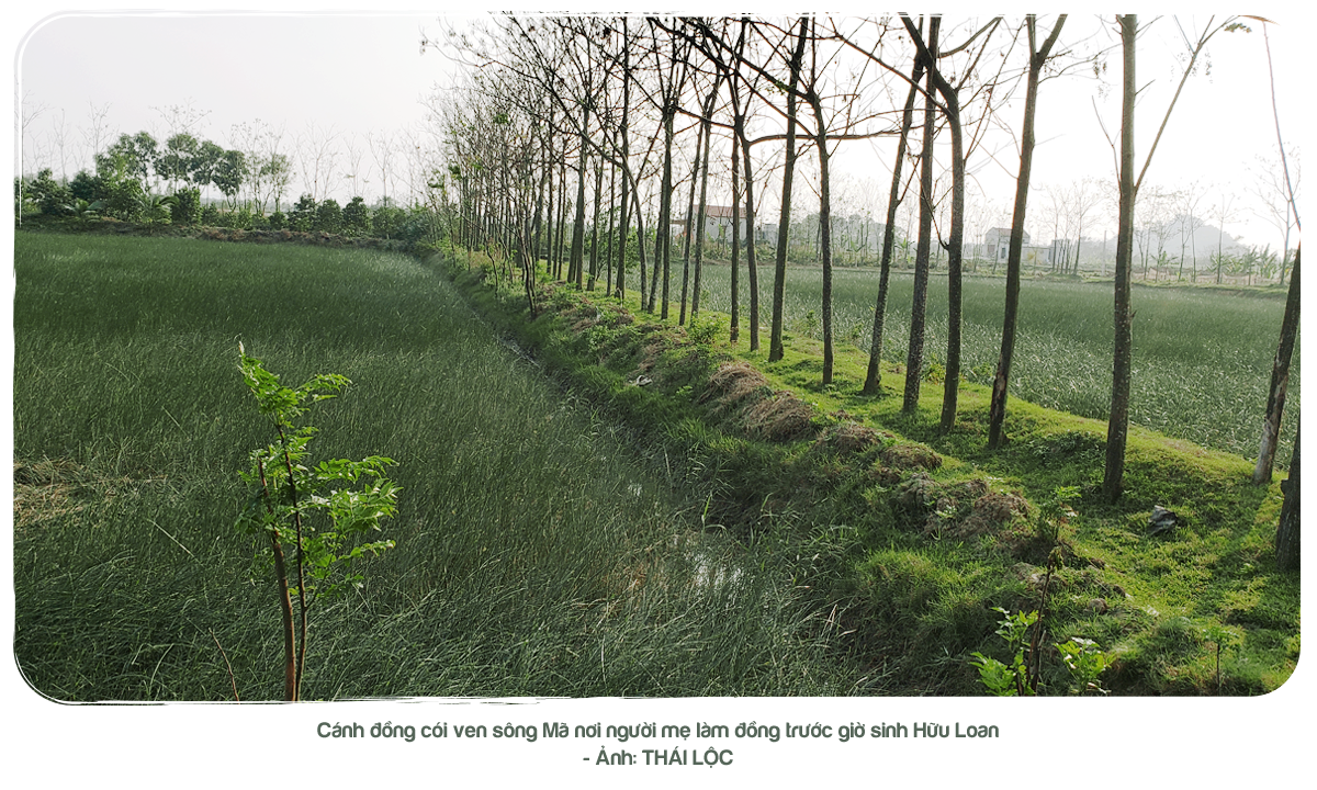 Kỳ 1: Từ đứa bé đẻ rơi đến bài thơ tình thế kỷ - Ảnh 2.