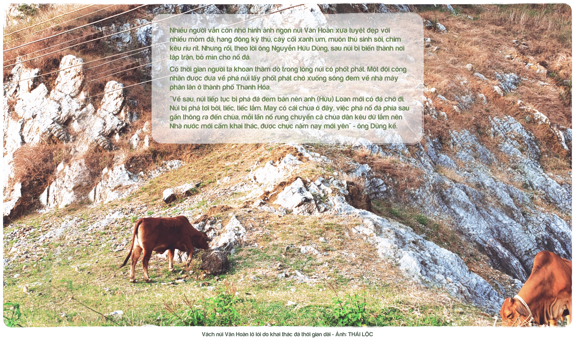 Kỳ 5: Nhà thơ tình đi thồ đá - Ảnh 7.