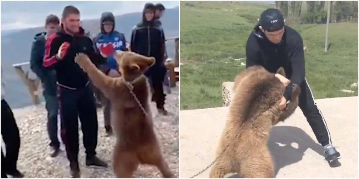 Khabib vật gấu hút 12 triệu lượt xem, Mike Tyson nhận xét phũ