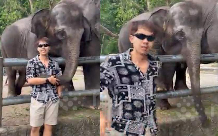 Voi con bực tức đá du khách "kém duyên" khi tạo dáng chụp ảnh