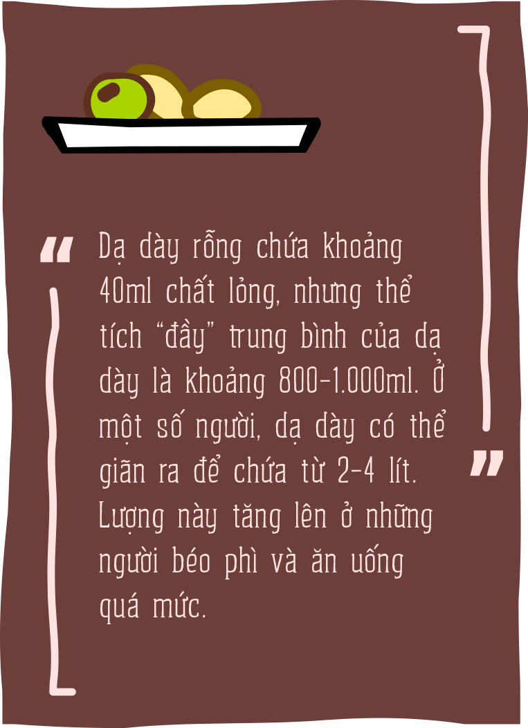 Vì sao các thánh ăn không lo no bể bụng? - Ảnh 3.