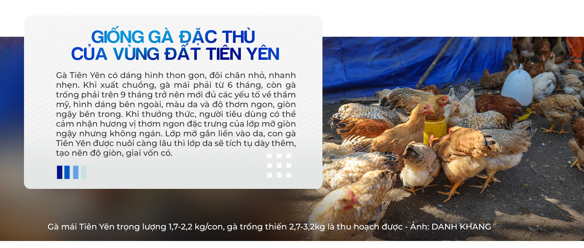 Sức trẻ dấn thân của tuổi trẻ Quảng Ninh - Ảnh 13.