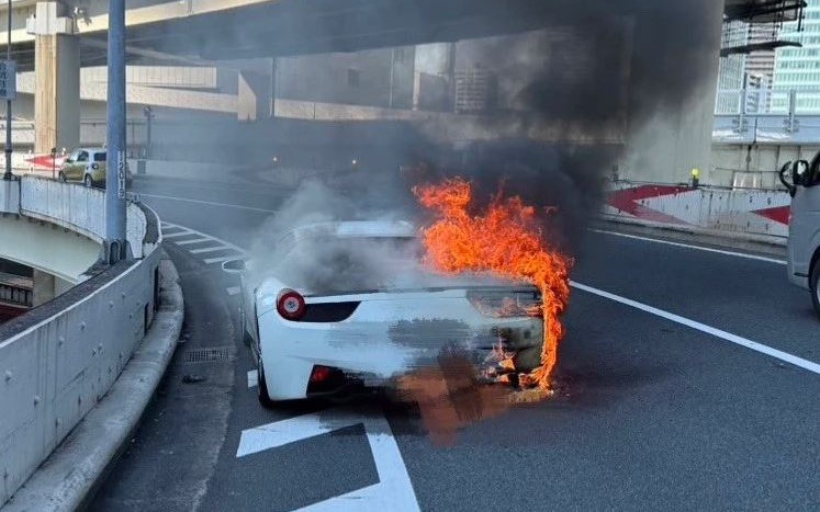 Phát hiện tinh tinh biết... ‘ăn nhậu’ - Ảnh 1.