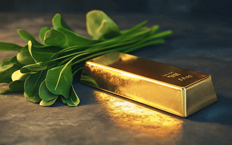 Nghệ thuật "nghe" vợ nói: Giải mã giọng nói vợ qua các loại nhạc cụ! - Ảnh 1.