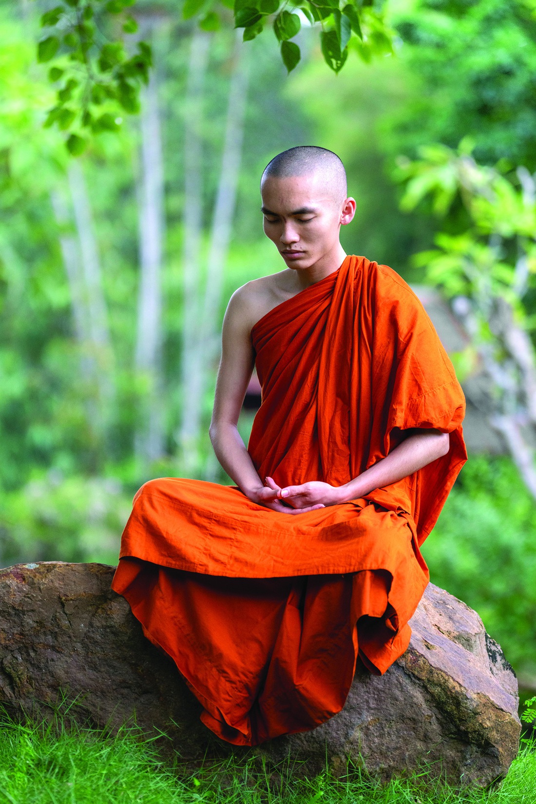 Nhiếp ảnh - Ảnh 11.