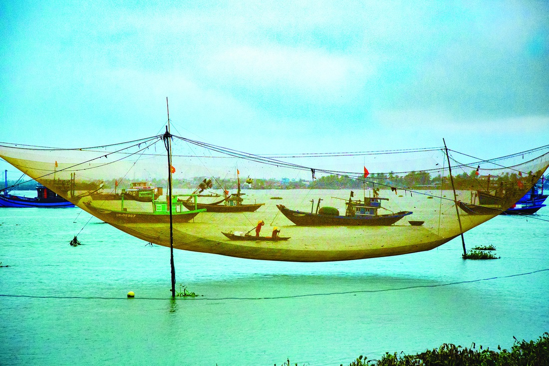 Nhiếp ảnh - Ảnh 3.