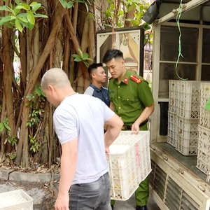 Chống buôn lậu, hàng giả, hàng kém chất lượng, quảng cáo lố