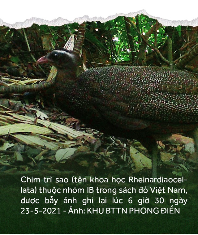 Vượt núi tháo bẫy ảnh - Ảnh 10.