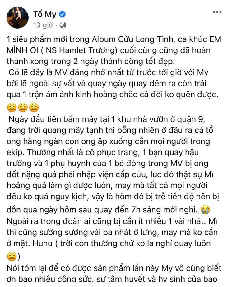 Chèn đéc ơi, bầy ong nỡ lòng tấn công Tố My đến nhập viện!
