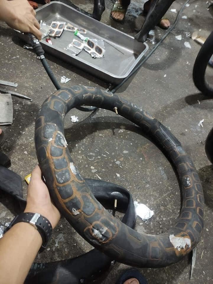 Ảnh vui 13-10: Cụ bà 97 tuổi đi hát karaoke cùng con cháu - Ảnh 2.