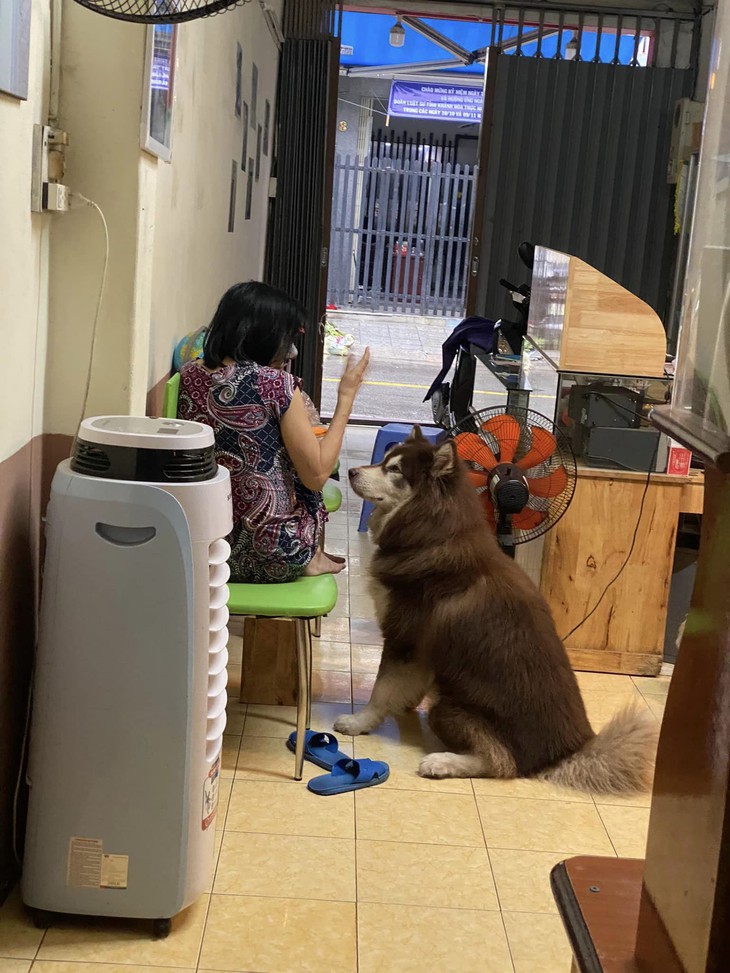 Ảnh vui 13-10: Cụ bà 97 tuổi đi hát karaoke cùng con cháu - Ảnh 6.