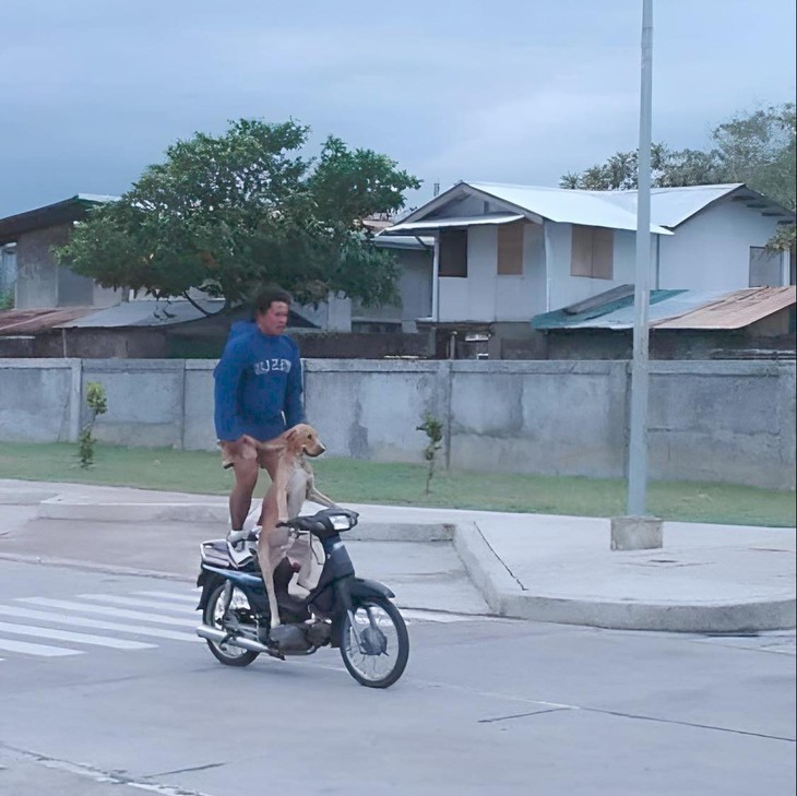 Ảnh vui 19-10: Xe hộ nghèo tà tà kiếm cơm - Ảnh 3.