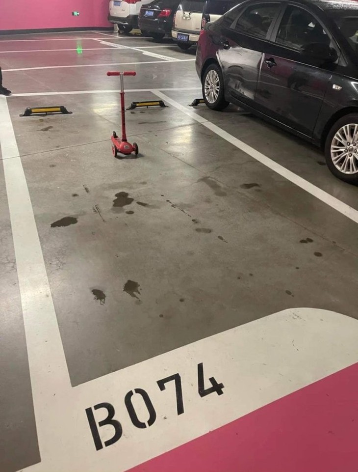 Ảnh vui 2-10: Đoạn kết của chuyện tình người đàn ông may mắn - Ảnh 2.