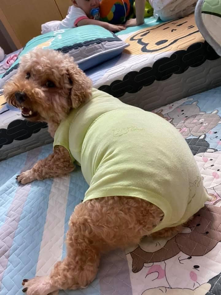 Ảnh vui 2-10: Đoạn kết của chuyện tình người đàn ông may mắn - Ảnh 5.