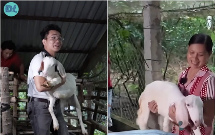 Lạ lùng chú dê biết gọi ‘Mẹ ơi’ bằng tiếng Việt như người