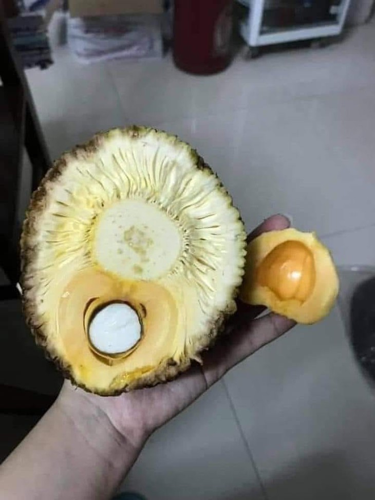 Ảnh vui 30-10: Chú heo buồn ngang khi bị chủ làm... rớt giữa đường - Ảnh 4.