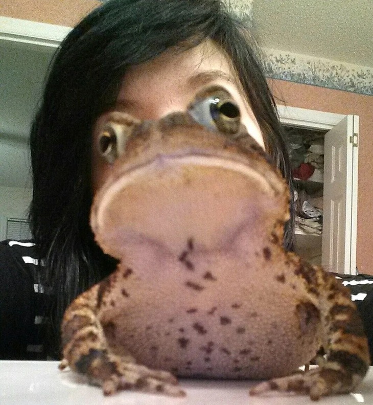 Những khoảnh khắc khiến bạn phải dụi mắt 7749 lần - Ảnh 9.