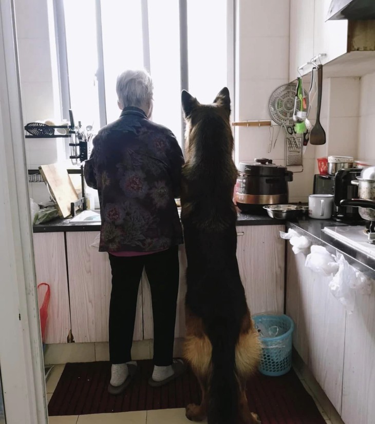 Ảnh vui 1-11: Ông bố chơi Halloween tới bến với con gái - Ảnh 4.