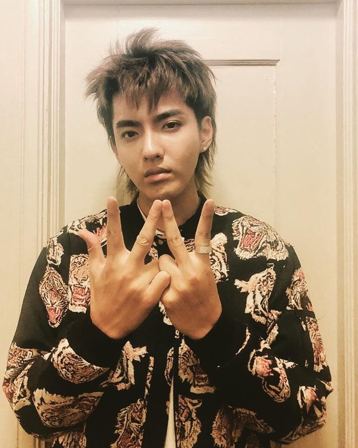 ‘Xong phim’, Ngô Diệc Phàm chính thức bị kết án 13 năm tù - Ảnh 2.