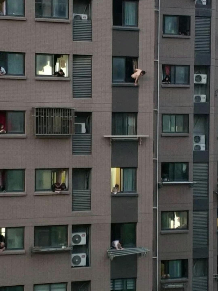 Ảnh vui 10-12: Chú mèo tiên tri dự đoán trúng phóc vận mệnh tuyển Brazil - Ảnh 2.