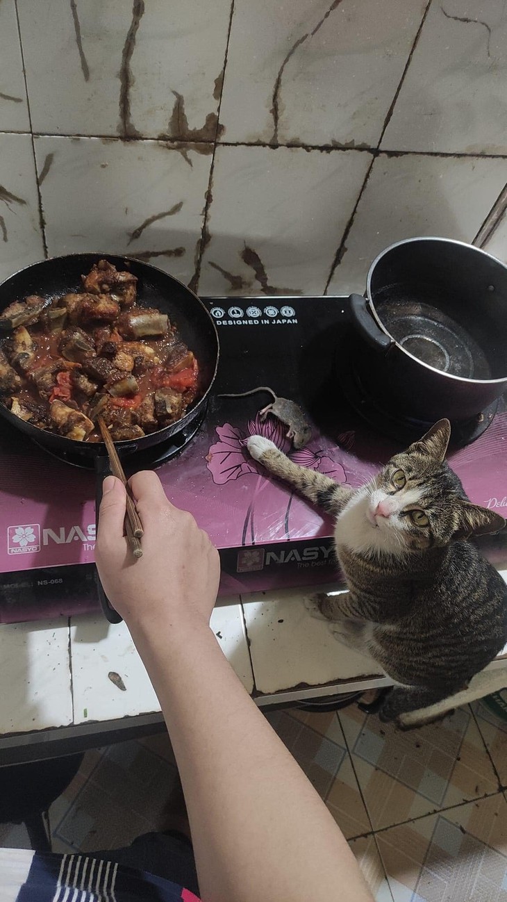 Ảnh vui 13-12: Cô gái co kéo hình đến mức bạn trai biến dạng - Ảnh 2.