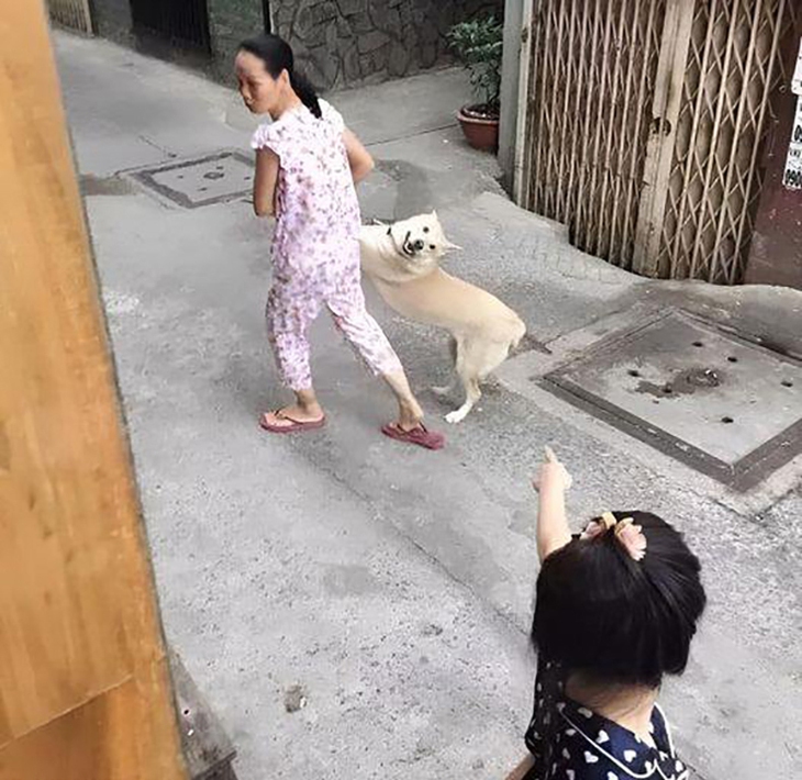 Ảnh vui 13-12: Cô gái co kéo hình đến mức bạn trai biến dạng - Ảnh 7.