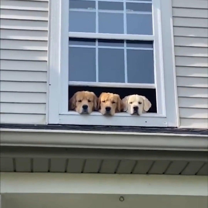 Ảnh vui 14-12: Bậc thầy yoga chỉ cách chụp ảnh với người yêu sao cho đẹp - Ảnh 2.