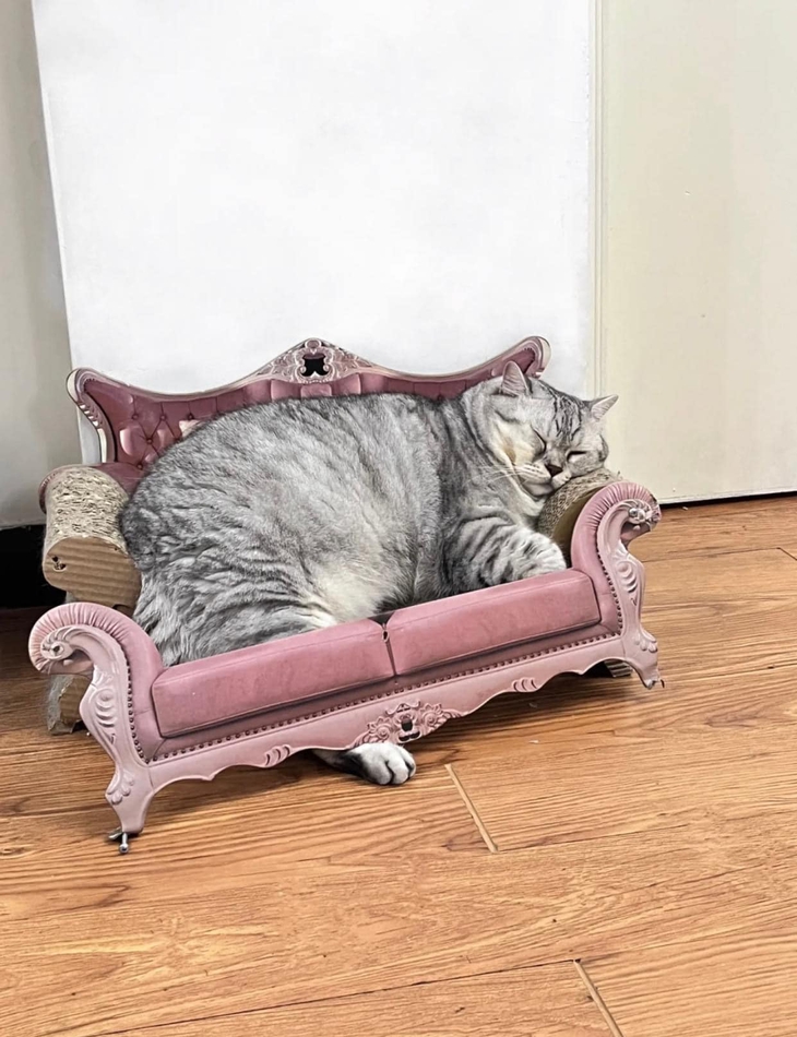 Ảnh vui 16-12: Dân mạng chế cháo The Beatles đi ăn đám cưới Việt - Ảnh 5.