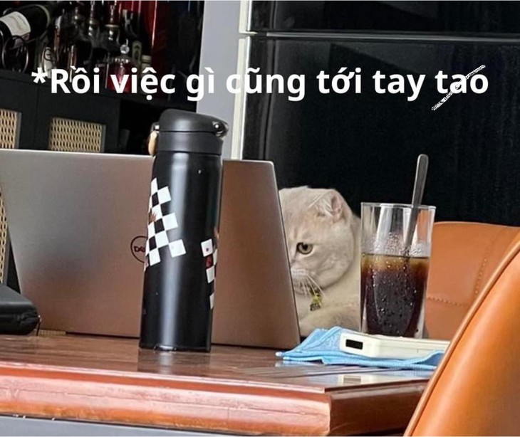 Ảnh vui 23-12: Đang yên đang lành tự dưng... Tết đến rồi!!! - Ảnh 4.