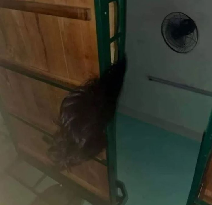 Hú hồn hú vía với cảnh thường gặp khi ở ký túc xá nữ - Ảnh 7.