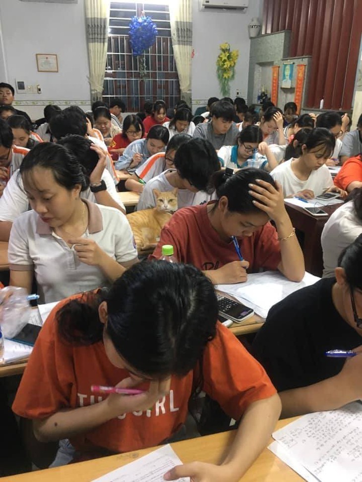 Những hình ảnh hài hước chỉ có thể là trường học Việt Nam! (P3) - Ảnh 6.