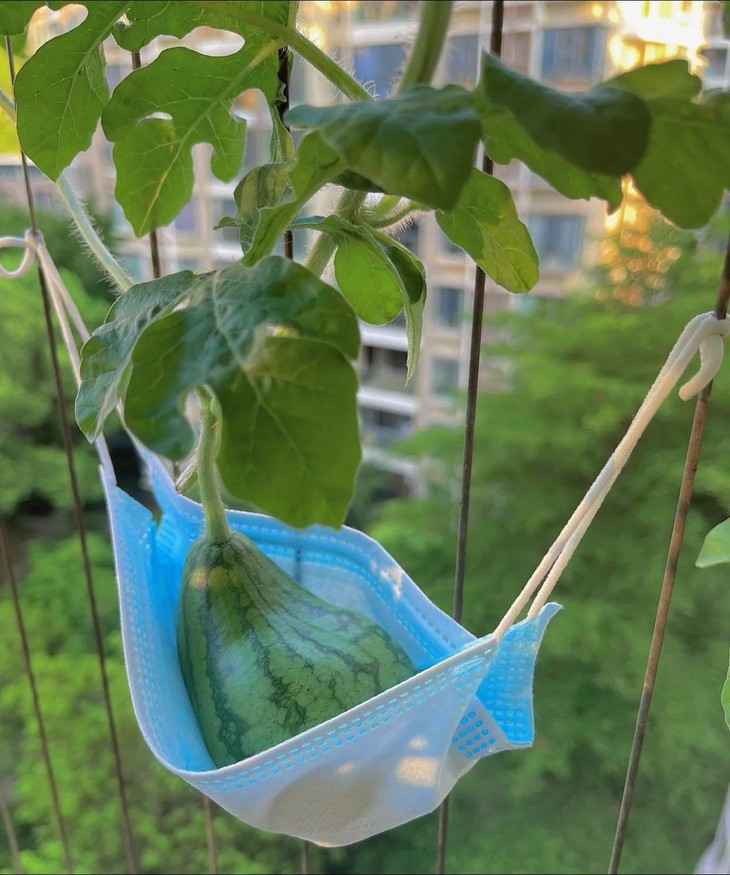 Ảnh vui 1/8: Cô Trang dạy tiếng Trung uy tín và chất lượng - Ảnh 2.