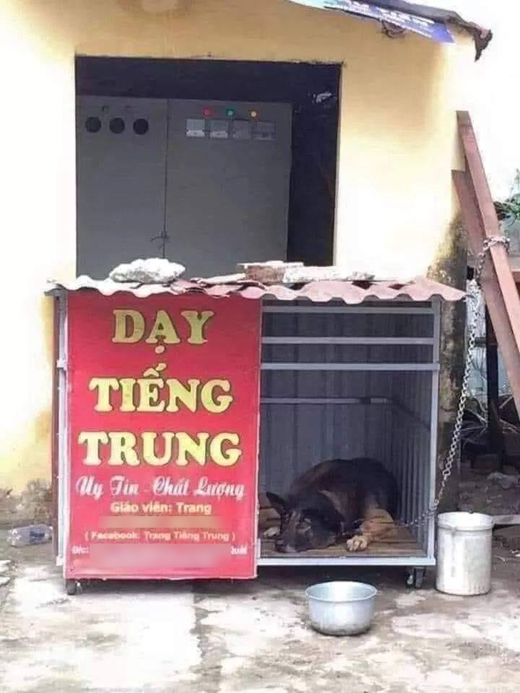 Ảnh vui 1/8: Cô Trang dạy tiếng Trung uy tín và chất lượng - Ảnh 1.