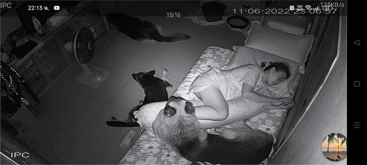 Cảnh nữ gia chủ bị bóng đè gây sốt mạng xã hội - Ảnh 1.