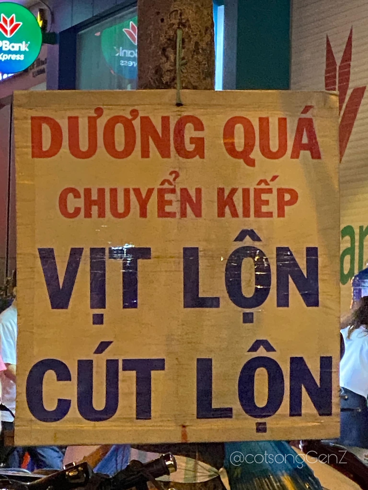 Ảnh vui 17-8: Vợ giận chồng xếp gạch xây tường ngăn đôi chiếc giường - Ảnh 6.