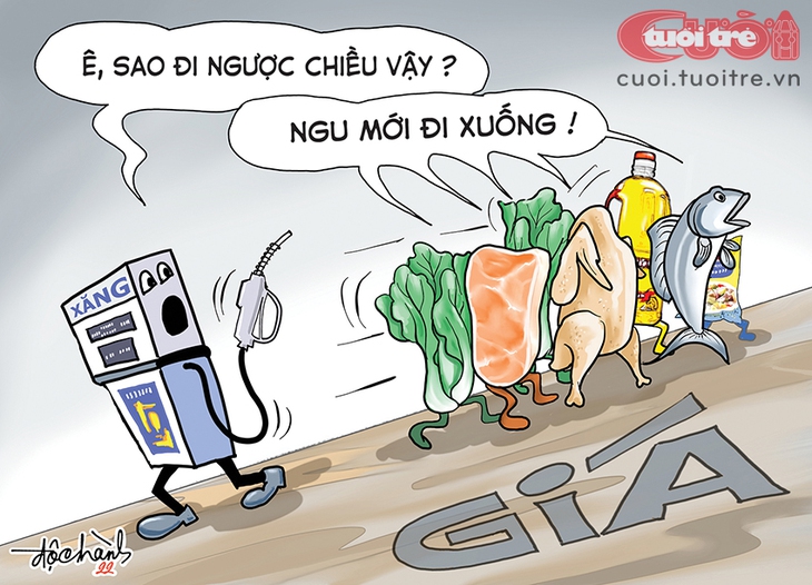 Lên đến đây rồi xuống làm chi? - Ảnh 1.