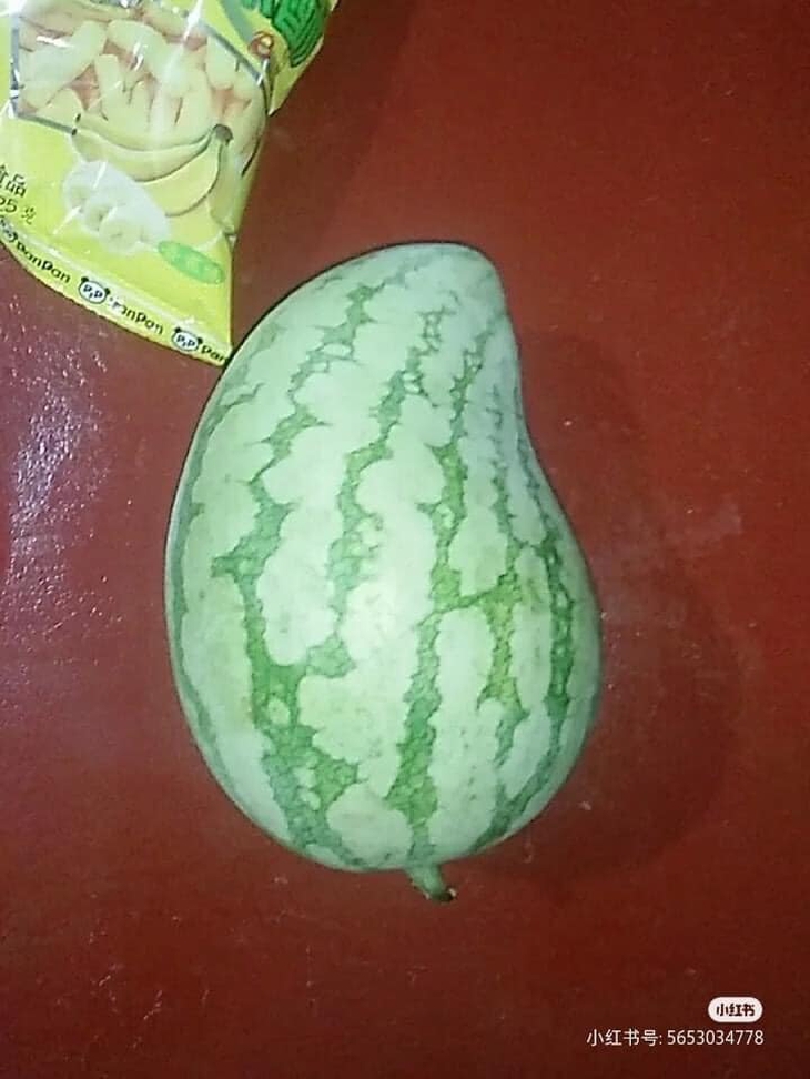 Ảnh vui 28-8: Ai nho Mỹ... Đình không??? - Ảnh 3.