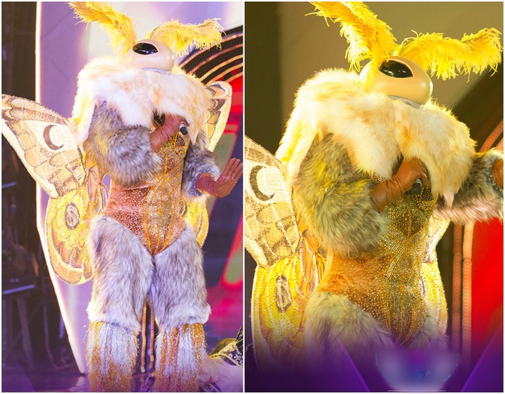Loạt mascot hóa thân cầu kỳ gây sốt ở Ca sĩ mặt nạ phiên bản Việt - Ảnh 1.
