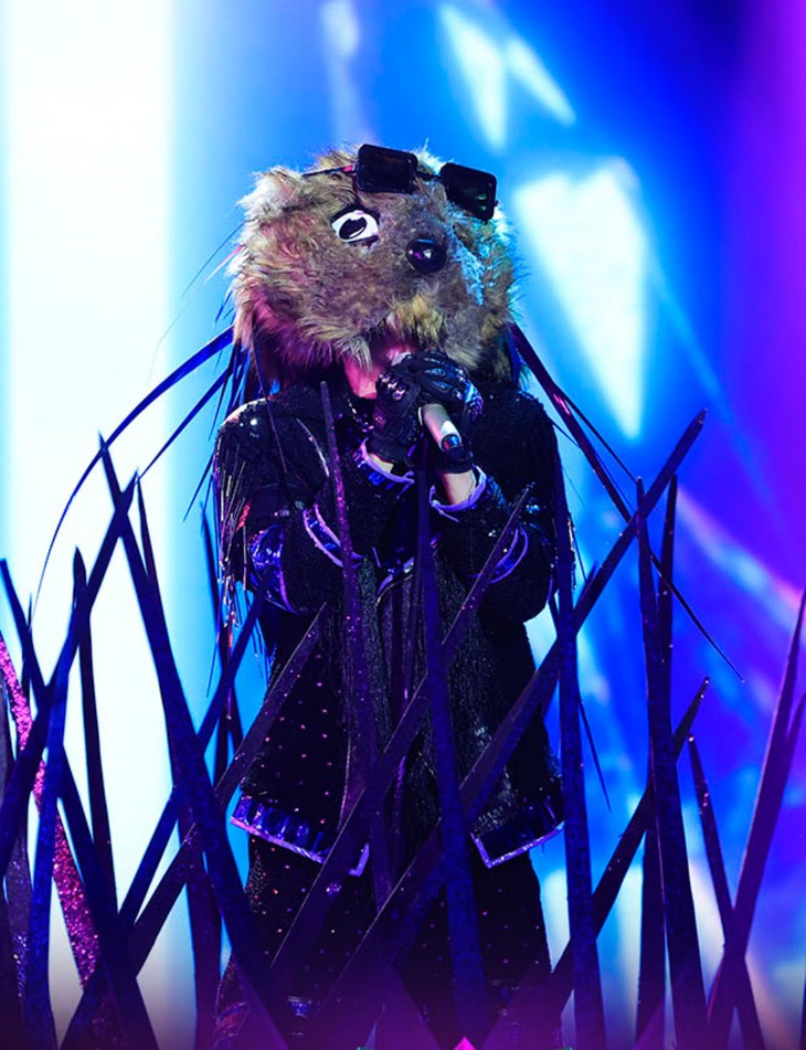 Loạt mascot hóa thân cầu kỳ gây sốt ở Ca sĩ mặt nạ phiên bản Việt - Ảnh 12.