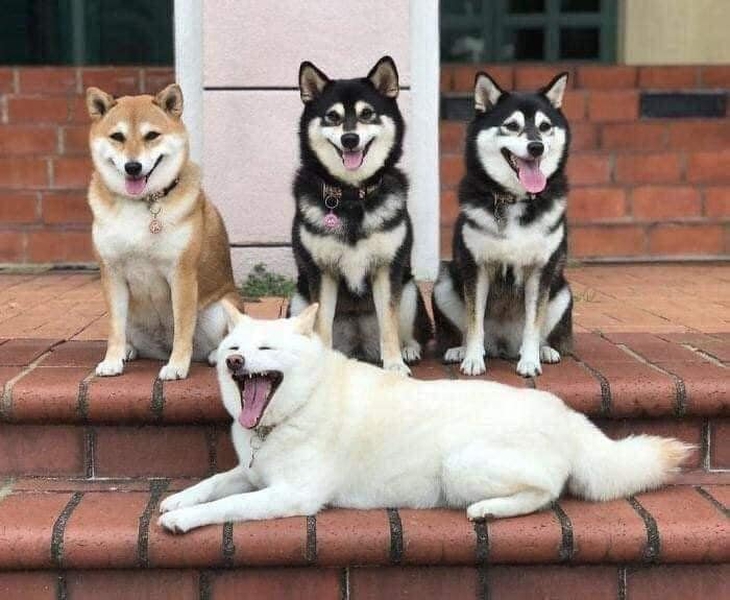 Ảnh vui 5-8: Quên bóp 1 cái, khuyến mãi 2 trạm - Ảnh 4.