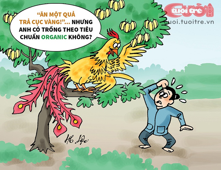 Ăn khế an toàn mới trả cục vàng! - Ảnh 1.