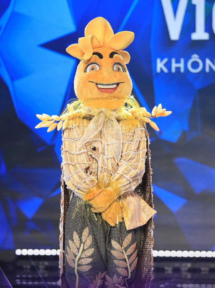 Chàng Lúa Tăng Phúc nhận lượng anti-fan sau khi tham gia Ca sĩ mặt nạ - Ảnh 2.