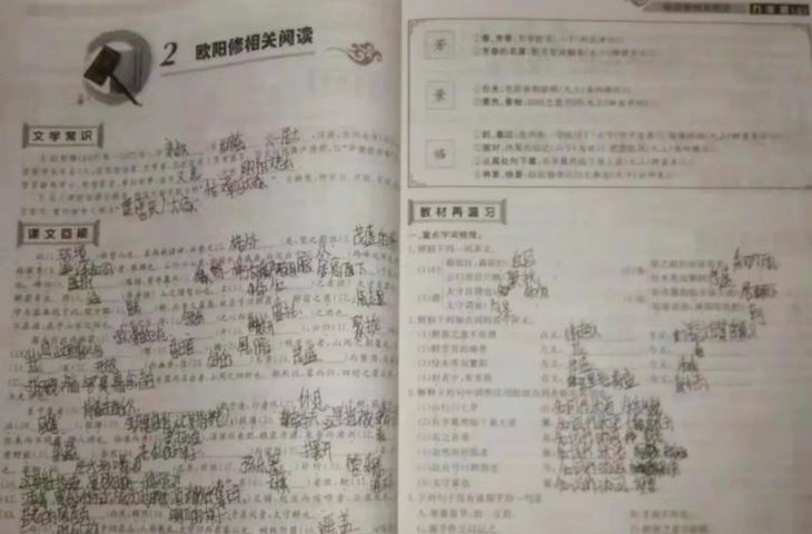 Nữ sinh tông ô tô bị chủ xe bắt làm bài tập về nhà, thay vì đền tiền - Ảnh 2.