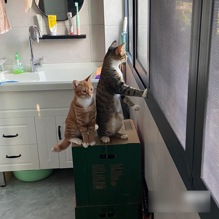 Ảnh vui 28-9: Lái xe chưa vợ ghi chú nơi lý tưởng để test túi khí - Ảnh 2.