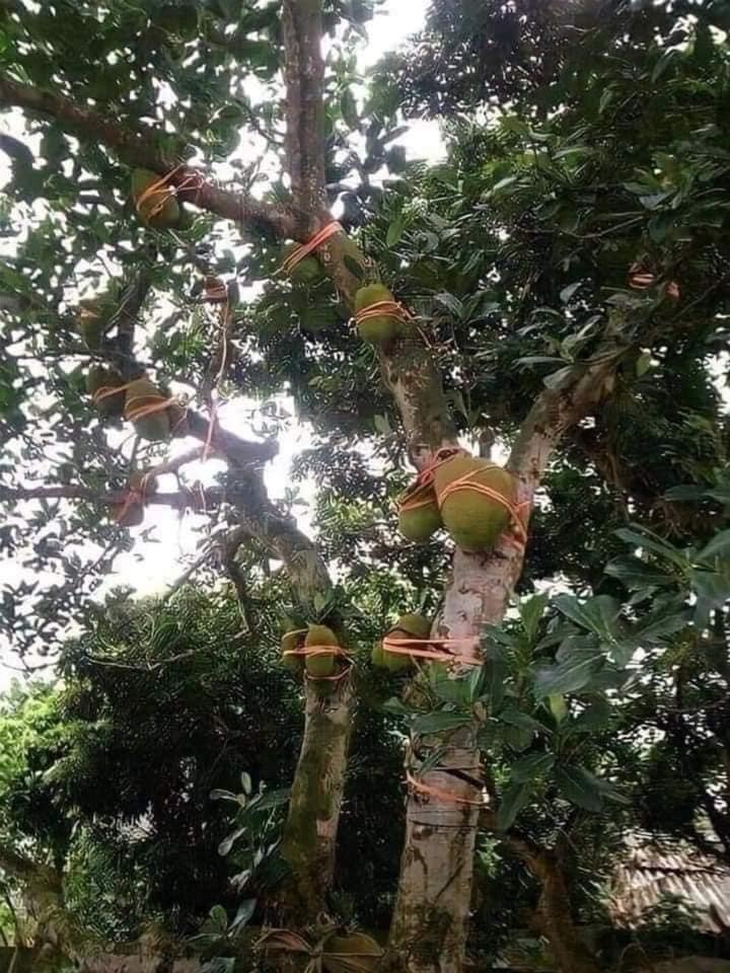 Ảnh vui 28-9: Lái xe chưa vợ ghi chú nơi lý tưởng để test túi khí - Ảnh 4.