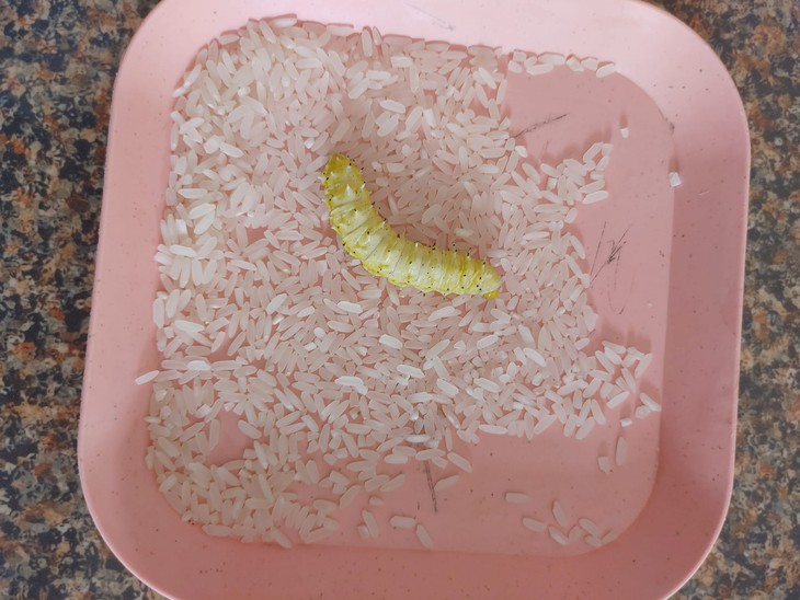 Ảnh vui 3-9: Fan hâm mộ đích thực của Manchester United be like - Ảnh 2.