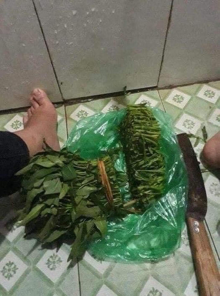 Ảnh vui 3-9: Fan hâm mộ đích thực của Manchester United be like - Ảnh 3.