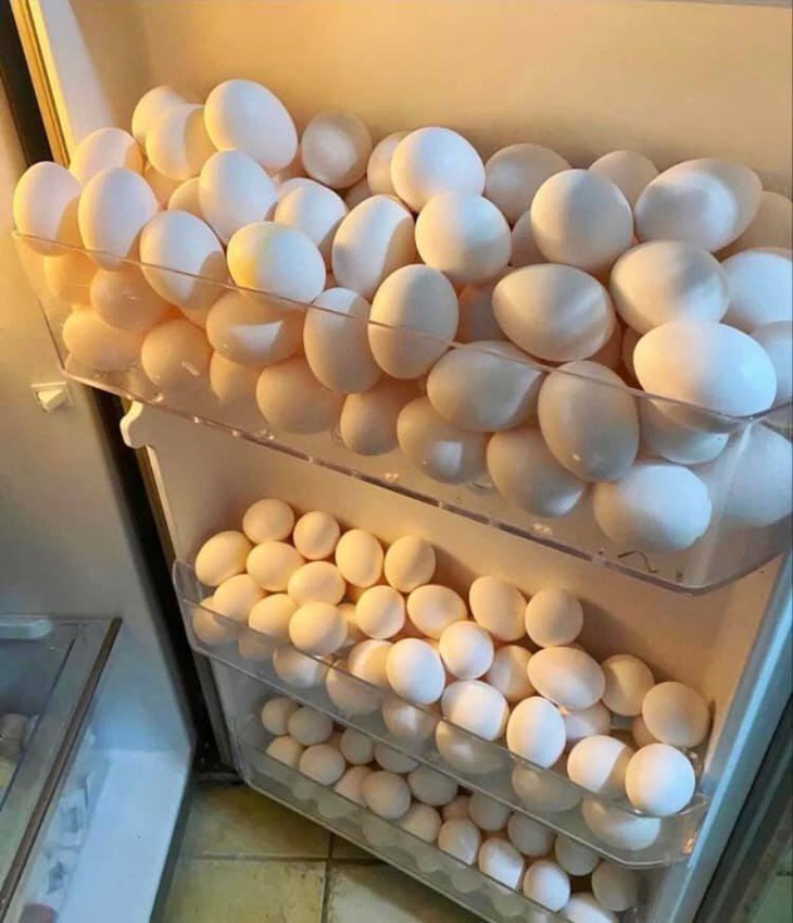 Ảnh vui 3-9: Fan hâm mộ đích thực của Manchester United be like - Ảnh 5.