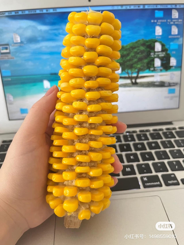 Ảnh vui 3-9: Fan hâm mộ đích thực của Manchester United be like - Ảnh 6.