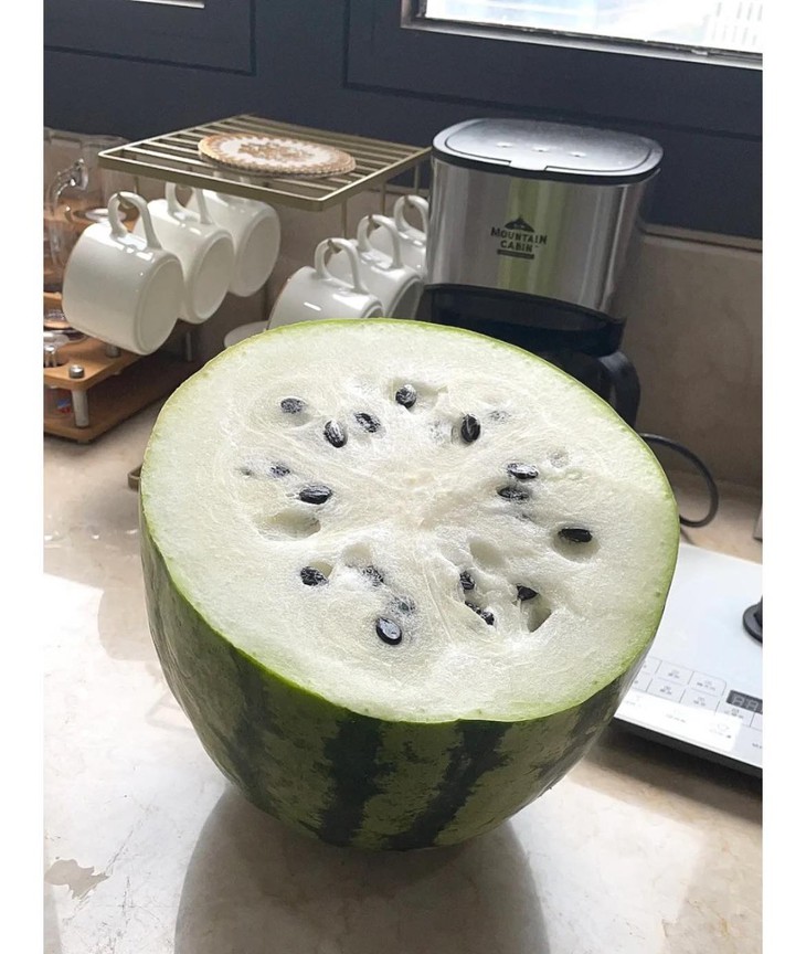 Ảnh vui 5-9: Đi tựu trường thôi các bạn mình ơi! - Ảnh 4.